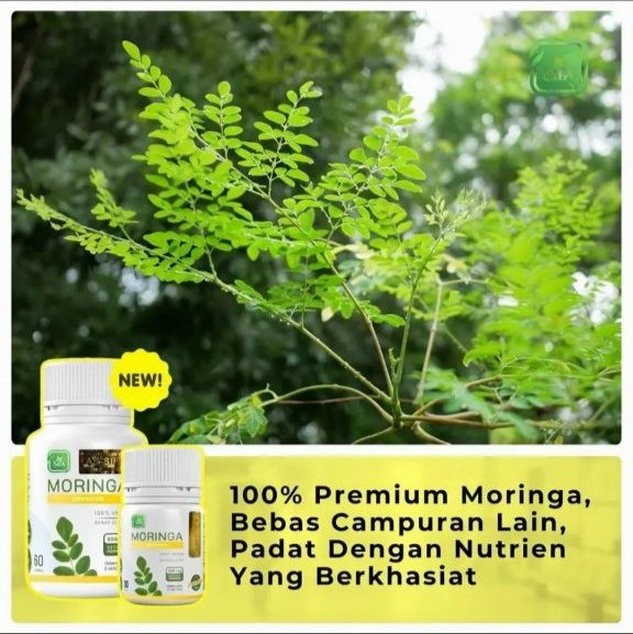 Moringa